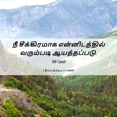 Picture 06 - 2 தீமோத்தேயு 4:9 TAMIRV - நீ சீக்கிரமாக - Bible Verse Picture