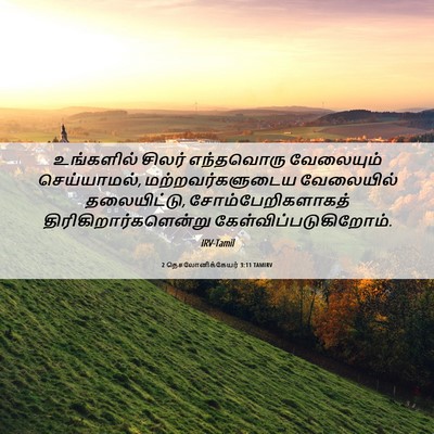 Picture 06 - 2 தெசலோனிக்கேயர் 3:11 TAMIRV - உங்களில் சிலர் - Bible Verse Picture