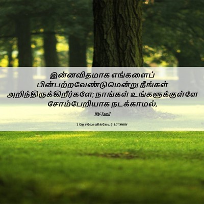 Picture 06 - 2 தெசலோனிக்கேயர் 3:7 TAMIRV - இன்னவிதமாக - Bible Verse Picture
