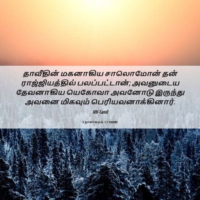 Picture 06 - 2 நாளாகமம் 1:1 TAMIRV - தாவீதின் மகனாகிய - Bible Verse Picture