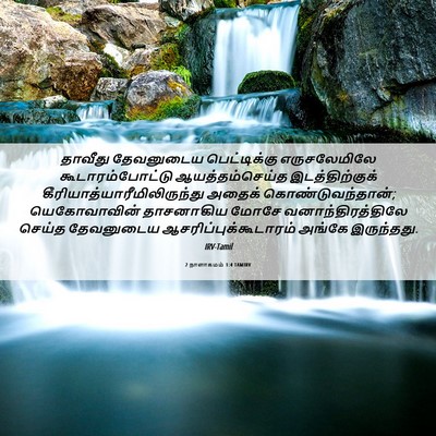 Picture 06 - 2 நாளாகமம் 1:4 TAMIRV - தாவீது தேவனுடைய - Bible Verse Picture