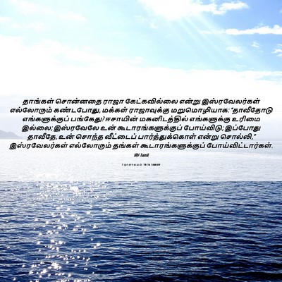 Picture 06 - 2 நாளாகமம் 10:16 TAMIRV - தாங்கள் சொன்னதை - Bible Verse Picture