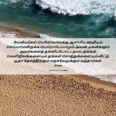 Picture 06 - 2 நாளாகமம் 11:14 TAMIRV - லேவியர்கள் - Bible Verse Picture