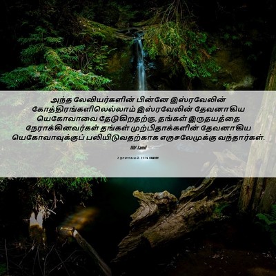 Picture 06 - 2 நாளாகமம் 11:16 TAMIRV - அந்த லேவியர்களின் - Bible Verse Picture