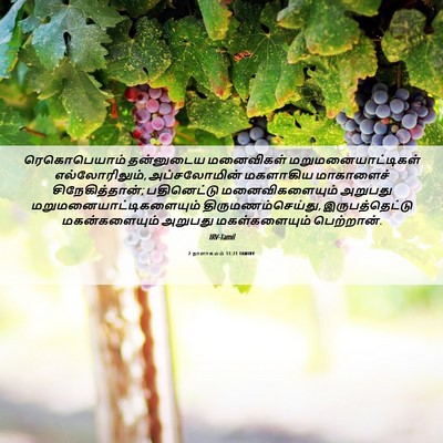Picture 06 - 2 நாளாகமம் 11:21 TAMIRV - ரெகொபெயாம் - Bible Verse Picture