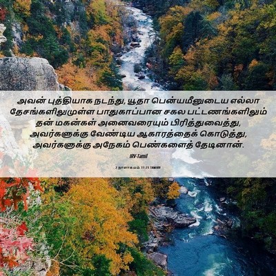Picture 06 - 2 நாளாகமம் 11:23 TAMIRV - அவன் புத்தியாக - Bible Verse Picture