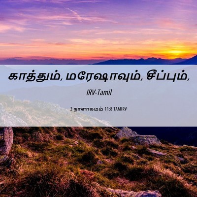 Picture 06 - 2 நாளாகமம் 11:8 TAMIRV - காத்தும், - Bible Verse Picture