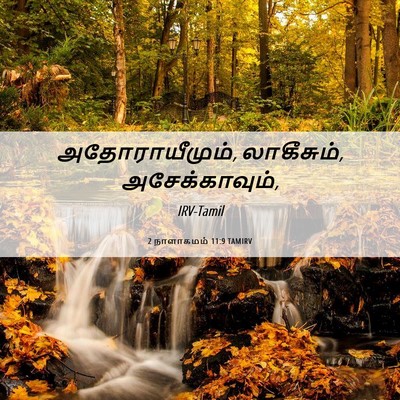 Picture 06 - 2 நாளாகமம் 11:9 TAMIRV - அதோராயீமும், - Bible Verse Picture
