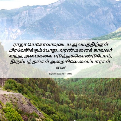 Picture 06 - 2 நாளாகமம் 12:11 TAMIRV - ராஜா யெகோவாவுடைய - Bible Verse Picture