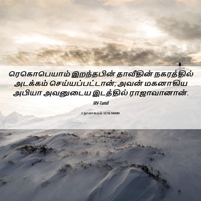 Picture 06 - 2 நாளாகமம் 12:16 TAMIRV - ரெகொபெயாம் - Bible Verse Picture