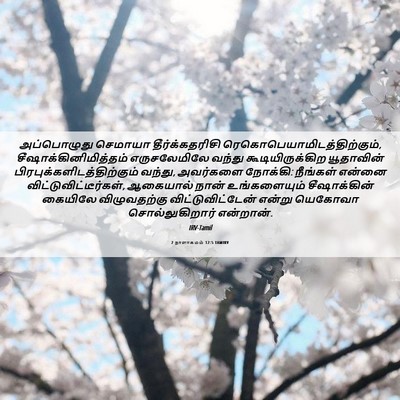 Picture 06 - 2 நாளாகமம் 12:5 TAMIRV - அப்பொழுது செமாயா - Bible Verse Picture