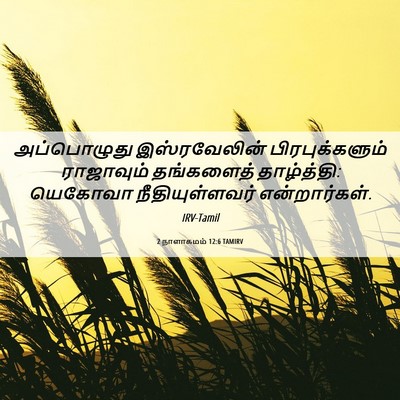 Picture 06 - 2 நாளாகமம் 12:6 TAMIRV - அப்பொழுது - Bible Verse Picture