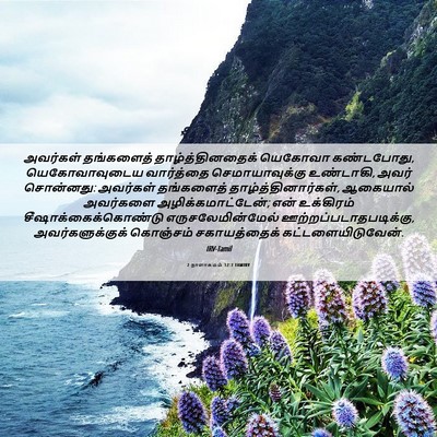 Picture 06 - 2 நாளாகமம் 12:7 TAMIRV - அவர்கள் தங்களைத் - Bible Verse Picture
