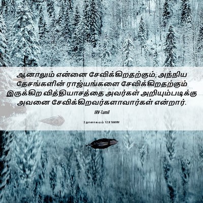 Picture 06 - 2 நாளாகமம் 12:8 TAMIRV - ஆனாலும் என்னை - Bible Verse Picture