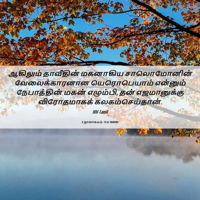 Picture 06 - 2 நாளாகமம் 13:6 TAMIRV - ஆகிலும் தாவீதின் - Bible Verse Picture