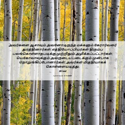 Picture 06 - 2 நாளாகமம் 14:13 TAMIRV - அவர்களை ஆசாவும் - Bible Verse Picture