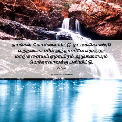 Picture 06 - 2 நாளாகமம் 15:11 TAMIRV - தாங்கள் - Bible Verse Picture