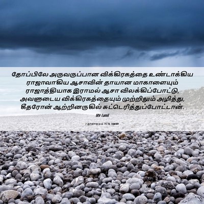 Picture 06 - 2 நாளாகமம் 15:16 TAMIRV - தோப்பிலே - Bible Verse Picture