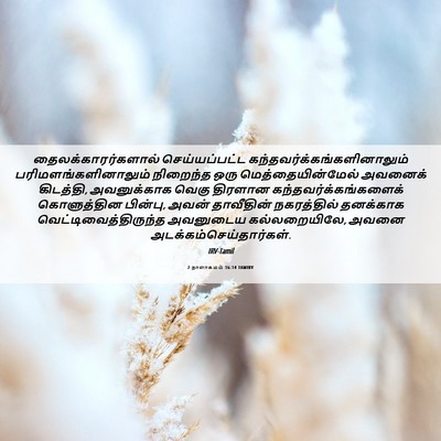 Picture 06 - 2 நாளாகமம் 16:14 TAMIRV - தைலக்காரர்களால் - Bible Verse Picture