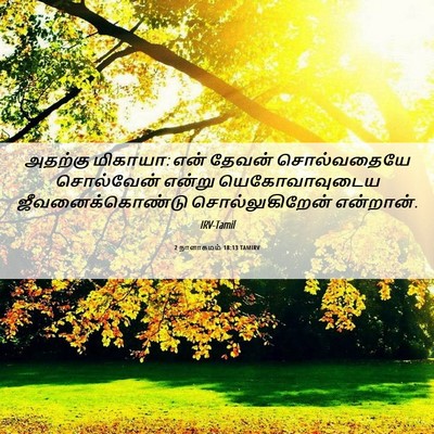 Picture 06 - 2 நாளாகமம் 18:13 TAMIRV - அதற்கு மிகாயா: என் - Bible Verse Picture