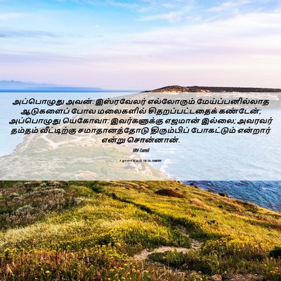Picture 06 - 2 நாளாகமம் 18:16 TAMIRV - அப்பொழுது அவன்: - Bible Verse Picture