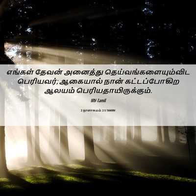 Picture 06 - 2 நாளாகமம் 2:5 TAMIRV - எங்கள் தேவன் - Bible Verse Picture