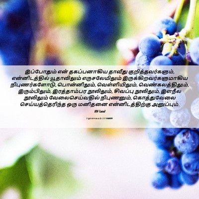 Picture 06 - 2 நாளாகமம் 2:7 TAMIRV - இப்போதும் என் - Bible Verse Picture
