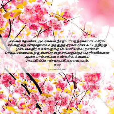 Picture 06 - 2 நாளாகமம் 20:12 TAMIRV - எங்கள் தேவனே, - Bible Verse Picture