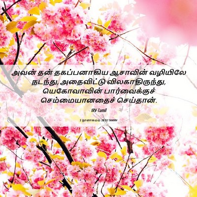 Picture 06 - 2 நாளாகமம் 20:32 TAMIRV - அவன் தன் - Bible Verse Picture