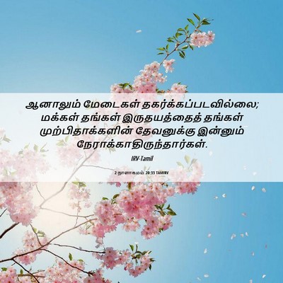Picture 06 - 2 நாளாகமம் 20:33 TAMIRV - ஆனாலும் மேடைகள் - Bible Verse Picture