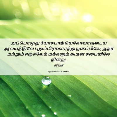 Picture 06 - 2 நாளாகமம் 20:5 TAMIRV - அப்பொழுது யோசபாத் - Bible Verse Picture