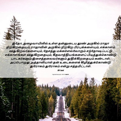 Picture 06 - 2 நாளாகமம் 23:13 TAMIRV - இதோ, நுழைவாயிலில் - Bible Verse Picture