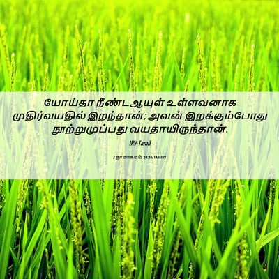 Picture 06 - 2 நாளாகமம் 24:15 TAMIRV - யோய்தா நீண்டஆயுள் - Bible Verse Picture