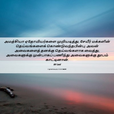 Picture 06 - 2 நாளாகமம் 25:14 TAMIRV - அமத்சியா - Bible Verse Picture