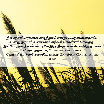 Picture 06 - 2 நாளாகமம் 25:19 TAMIRV - நீ ஏதோமியர்களை - Bible Verse Picture
