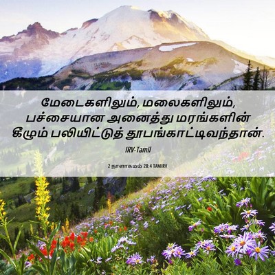 Picture 06 - 2 நாளாகமம் 28:4 TAMIRV - மேடைகளிலும், - Bible Verse Picture
