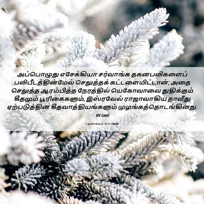 Picture 06 - 2 நாளாகமம் 29:27 TAMIRV - அப்பொழுது - Bible Verse Picture