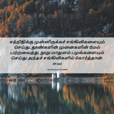 Picture 06 - 2 நாளாகமம் 3:16 TAMIRV - சந்நிதிக்கு - Bible Verse Picture