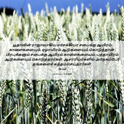 Picture 06 - 2 நாளாகமம் 30:24 TAMIRV - யூதாவின் - Bible Verse Picture