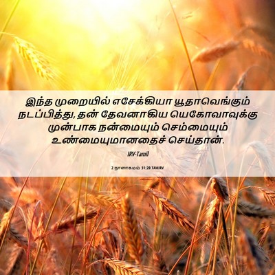 Picture 06 - 2 நாளாகமம் 31:20 TAMIRV - இந்த முறையில் - Bible Verse Picture