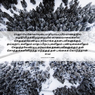Picture 06 - 2 நாளாகமம் 31:3 TAMIRV - ராஜா யெகோவாவுடைய - Bible Verse Picture