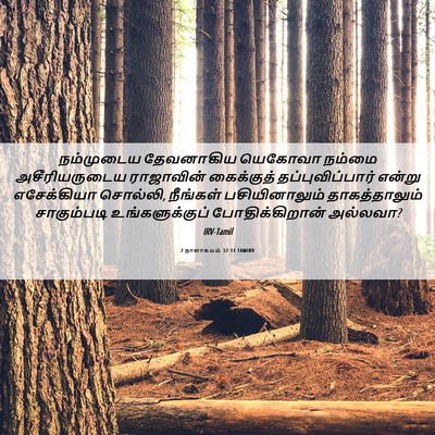 Picture 06 - 2 நாளாகமம் 32:11 TAMIRV - நம்முடைய தேவனாகிய - Bible Verse Picture