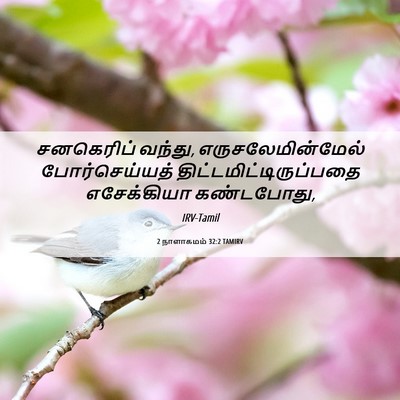 Picture 06 - 2 நாளாகமம் 32:2 TAMIRV - சனகெரிப் வந்து, - Bible Verse Picture