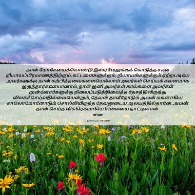 Picture 06 - 2 நாளாகமம் 33:8 TAMIRV - நான் - Bible Verse Picture