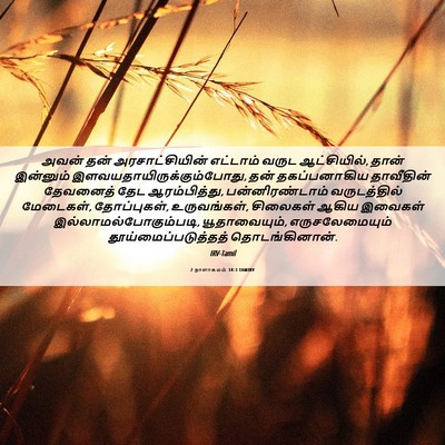Picture 06 - 2 நாளாகமம் 34:3 TAMIRV - அவன் தன் - Bible Verse Picture