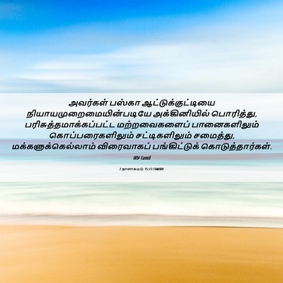 Picture 06 - 2 நாளாகமம் 35:13 TAMIRV - அவர்கள் பஸ்கா - Bible Verse Picture