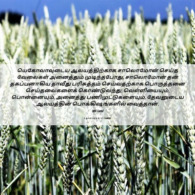 Picture 06 - 2 நாளாகமம் 5:1 TAMIRV - யெகோவாவுடைய - Bible Verse Picture