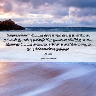 Picture 06 - 2 நாளாகமம் 5:8 TAMIRV - கேருபீன்கள், - Bible Verse Picture