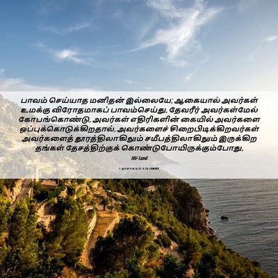 Picture 06 - 2 நாளாகமம் 6:36 TAMIRV - பாவம் செய்யாத - Bible Verse Picture