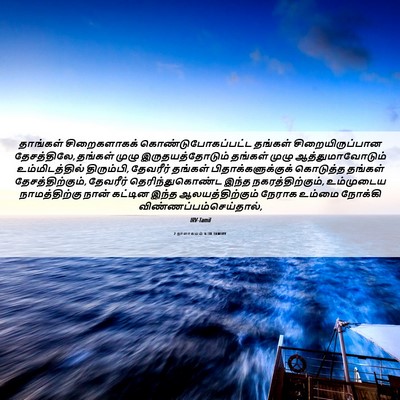 Picture 06 - 2 நாளாகமம் 6:38 TAMIRV - தாங்கள் - Bible Verse Picture